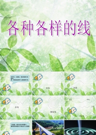 《各种各样的线》课件