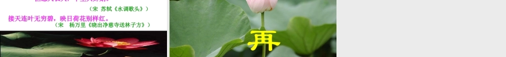《荷塘月色》