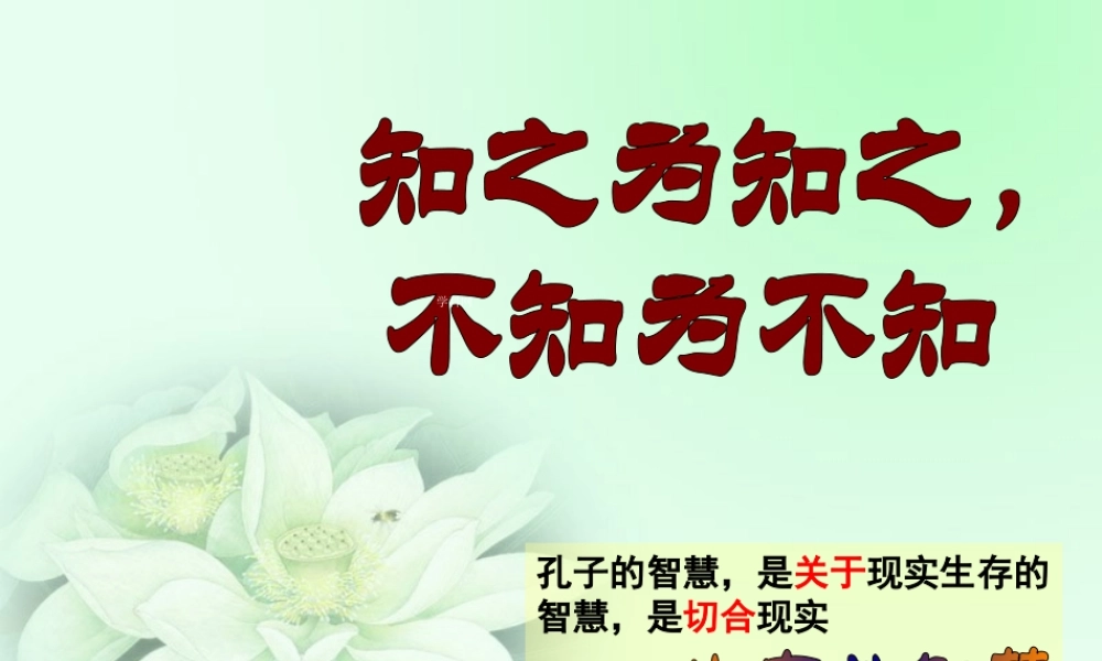 三、知之为知之-不知为不知-(2)