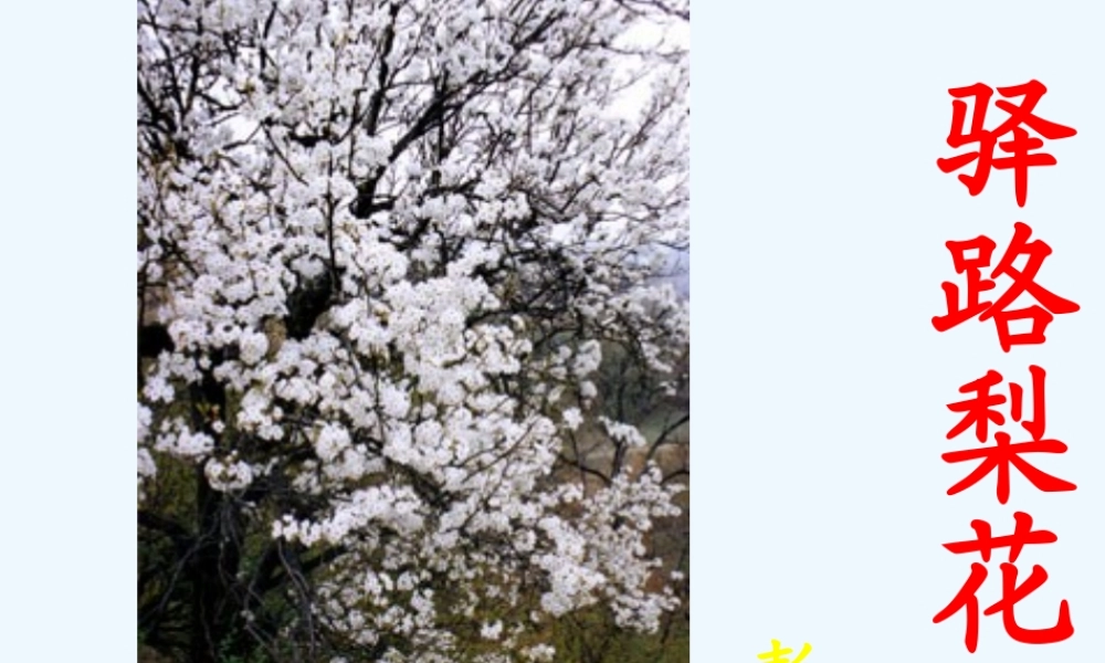 (部编)初中语文人教2011课标版七年级下册驿路梨花-(17)