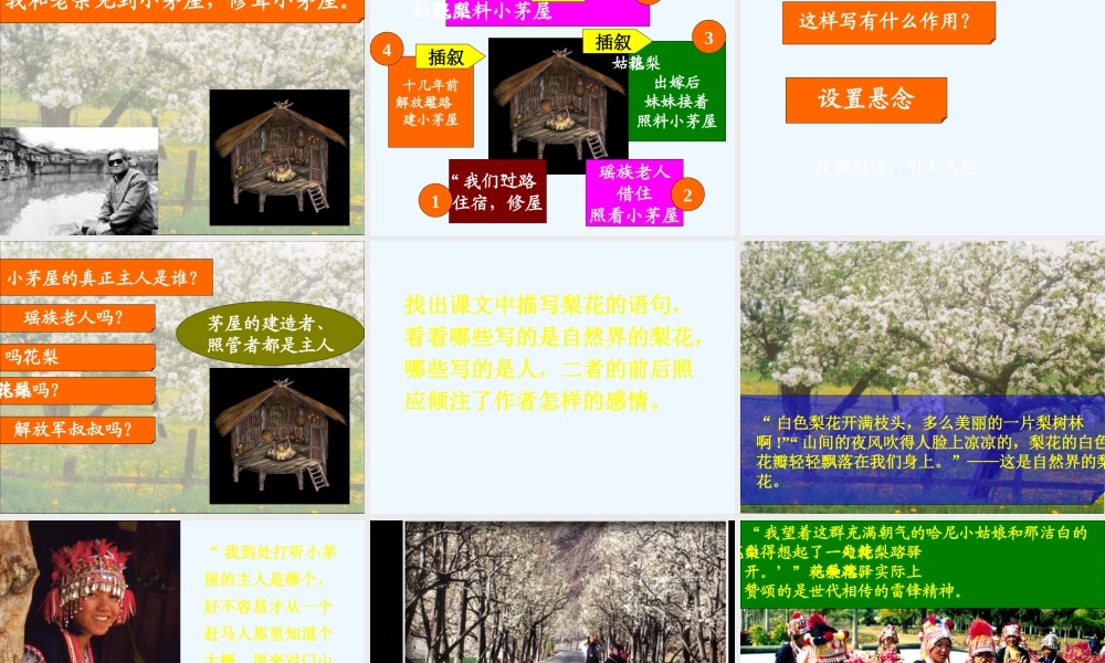 (部编)初中语文人教2011课标版七年级下册驿路梨花-(17)