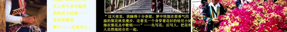 (部编)初中语文人教2011课标版七年级下册驿路梨花-(17)
