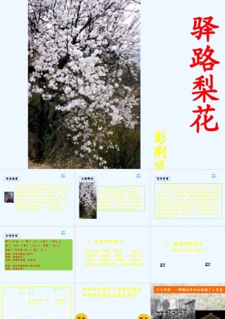 (部编)初中语文人教2011课标版七年级下册驿路梨花-(17)