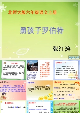 张江涛黑孩子罗伯特