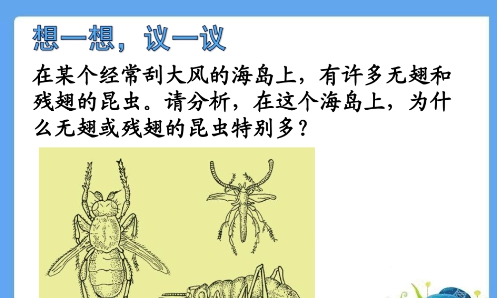 第三节生物进化的原因