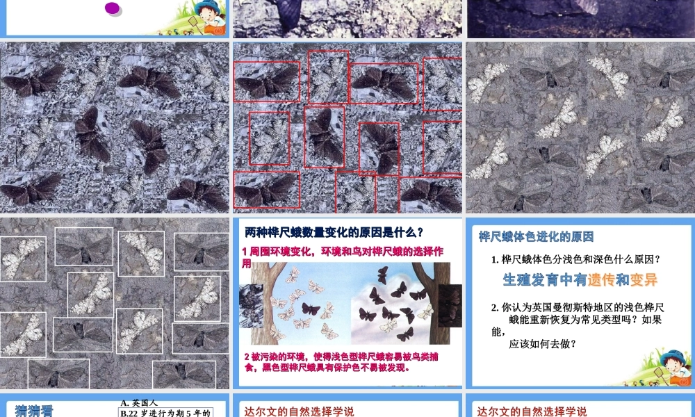 第三节生物进化的原因