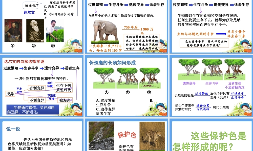 第三节生物进化的原因