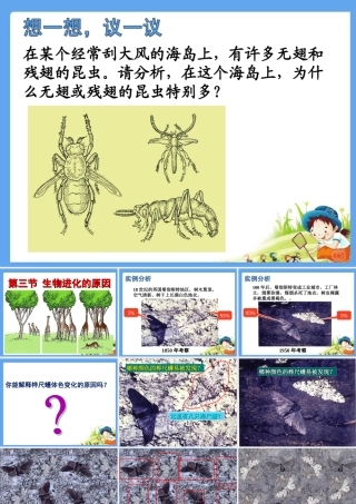 第三节生物进化的原因
