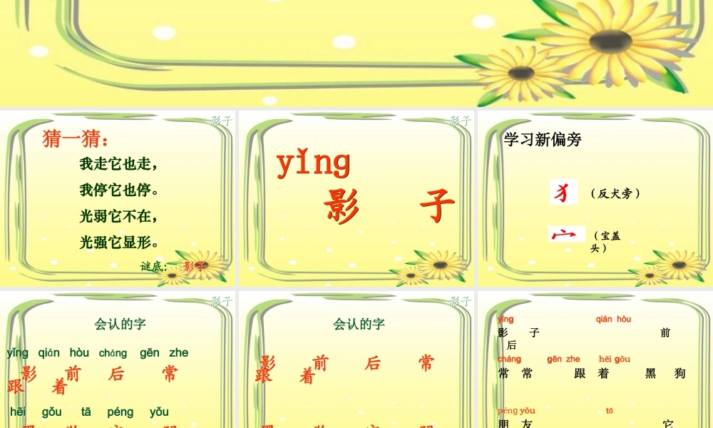 《影子》ppt.