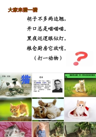 15.《猫》完美版ppt