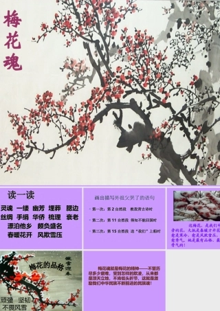 《06梅花魂》PPT课件