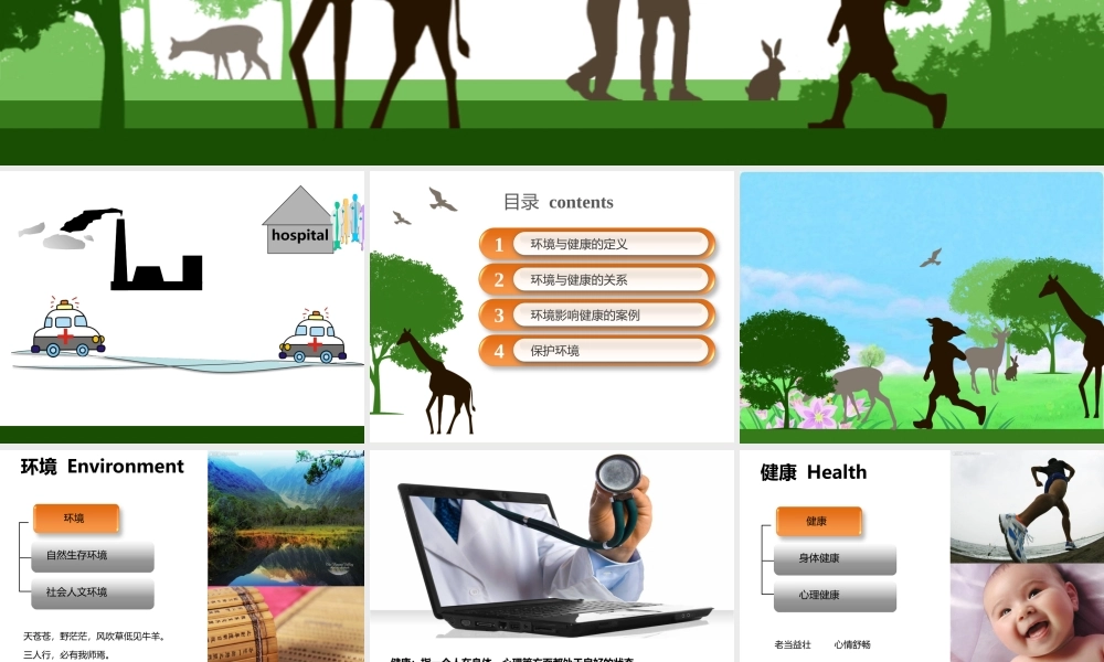 环境对健康的影响-(2)