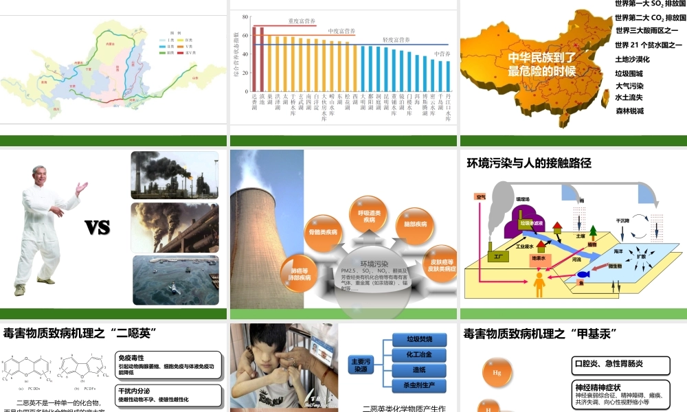 环境对健康的影响-(2)