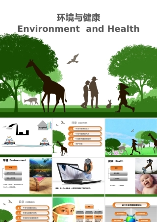 环境对健康的影响-(2)