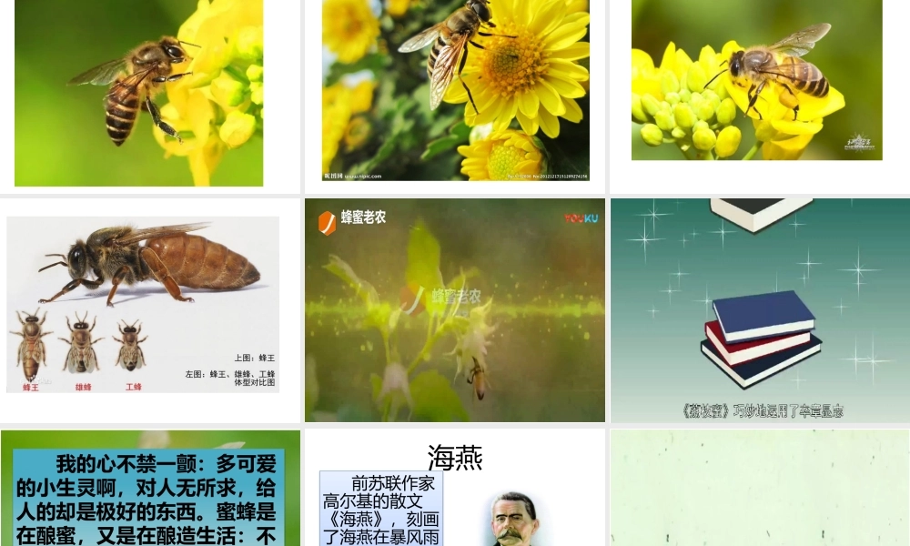 生物学与文学-借动物以言志