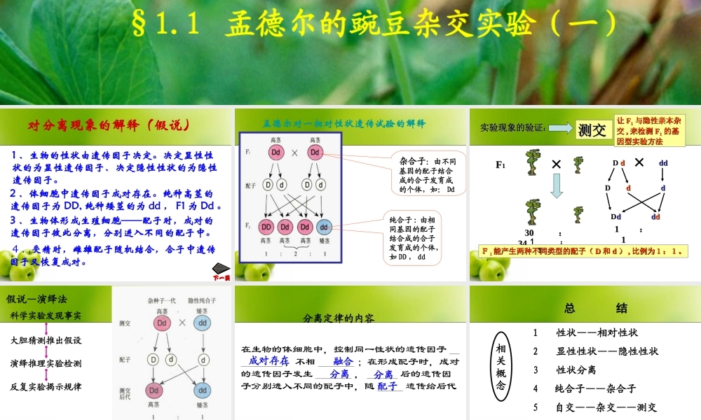 分离定律(二)