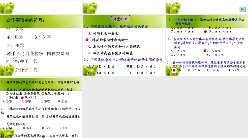分离定律(二)