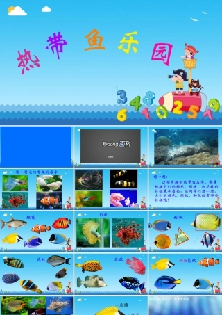 15热带鱼乐园