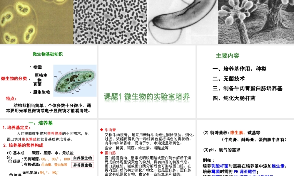 【实验】培养基的配制和灭菌