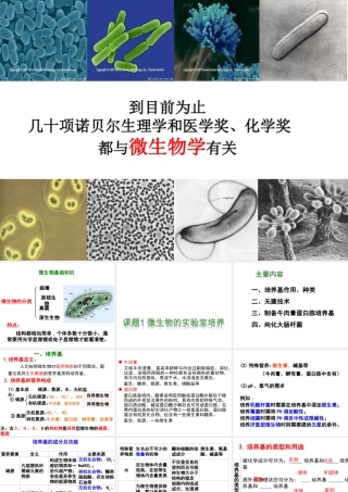 【实验】培养基的配制和灭菌