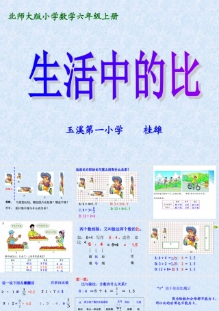 《比的认识》课件桂雄