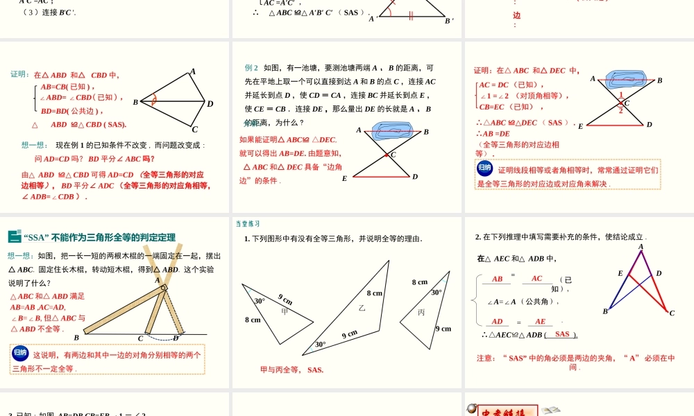 利用边角边证明三角形全等