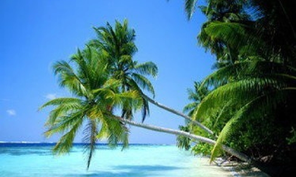 3.1认识三角形(二)225588