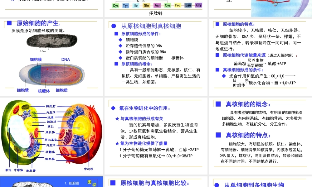 细胞的起源与进化