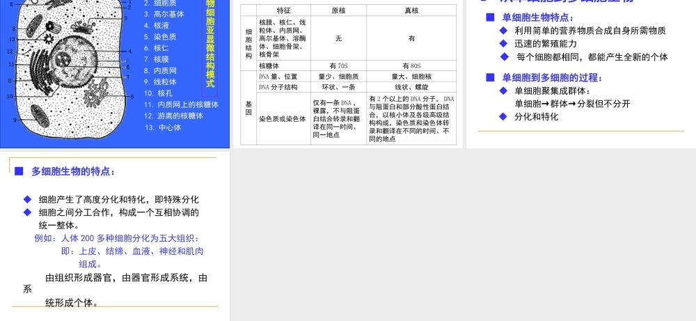 细胞的起源与进化