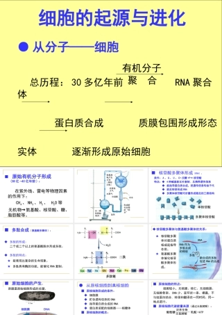 细胞的起源与进化