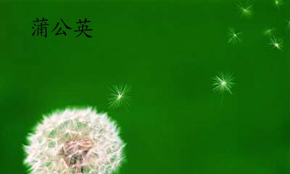 《植物妈妈有办法》讲课课件