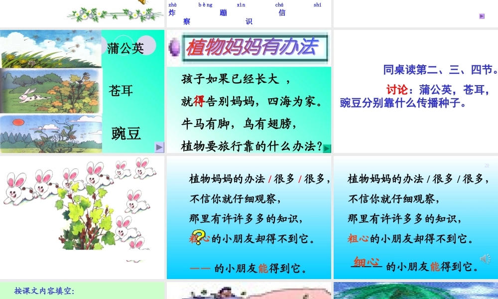 《植物妈妈有办法》讲课课件