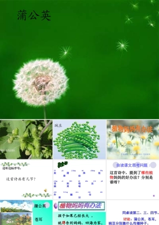 《植物妈妈有办法》讲课课件