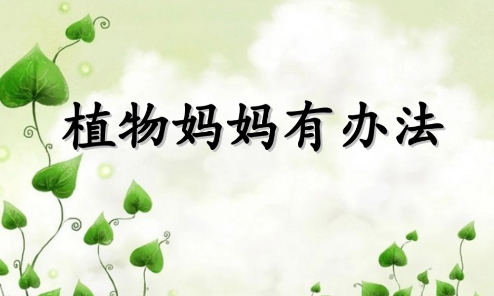 《植物妈妈有办法》PPT课件1