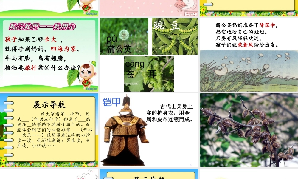 《植物妈妈有办法》PPT课件1