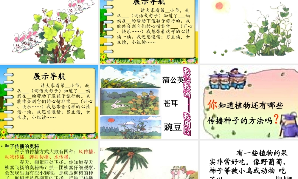 《植物妈妈有办法》PPT课件1