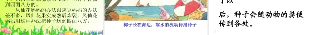 《植物妈妈有办法》PPT课件1