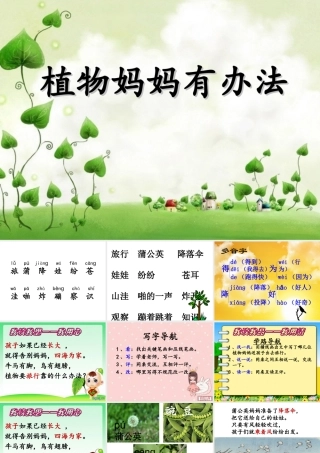 《植物妈妈有办法》PPT课件1
