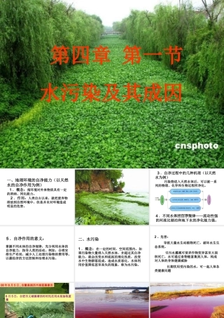 水污染及其成因