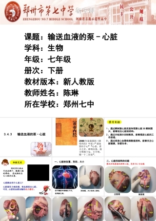 第三节输送血液的泵——心脏-(7)