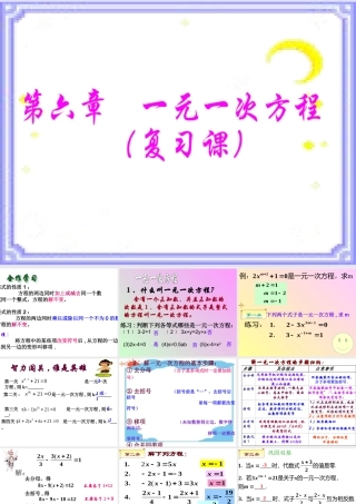 华师大版七年级下第六章《一元一次方程》复习课件
