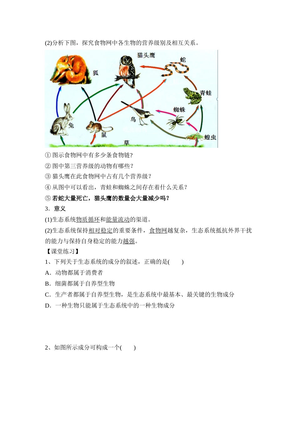 一生态系统的结构_第3页
