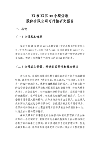 xx小额贷款公司可行性分析报告