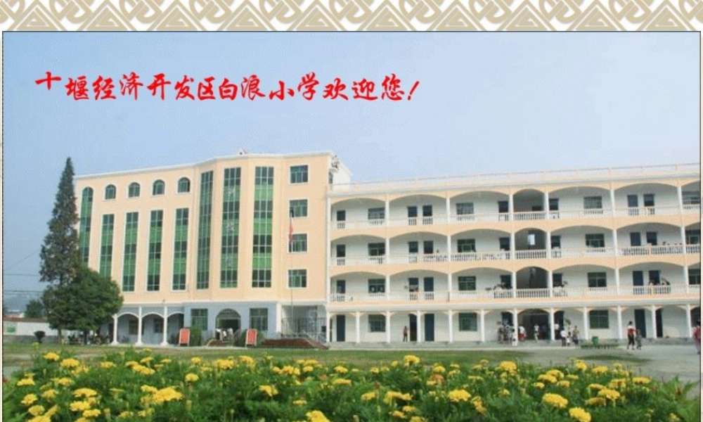 《找规律》课件