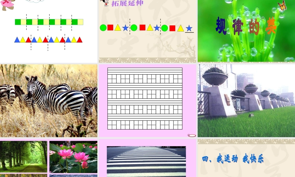 《找规律》课件