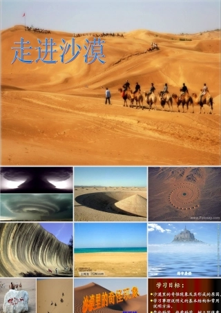 沙漠里的奇怪想象
