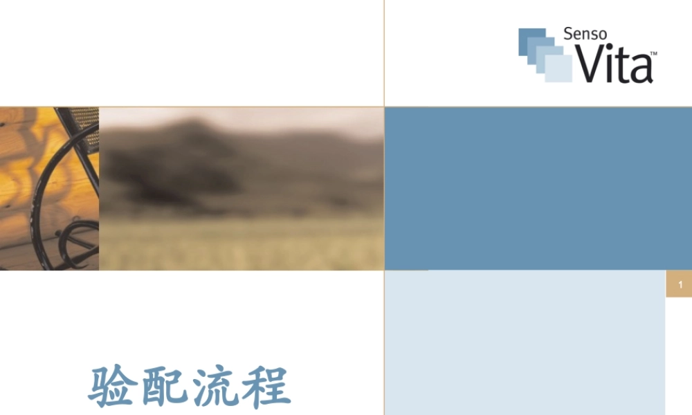 《助听器验配流程》