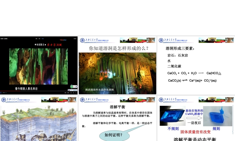溶解过程中的动态平衡