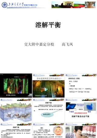 溶解过程中的动态平衡