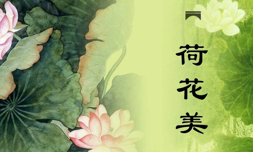 江西美术出版社小学美术三年级下册《荷花美》课件15